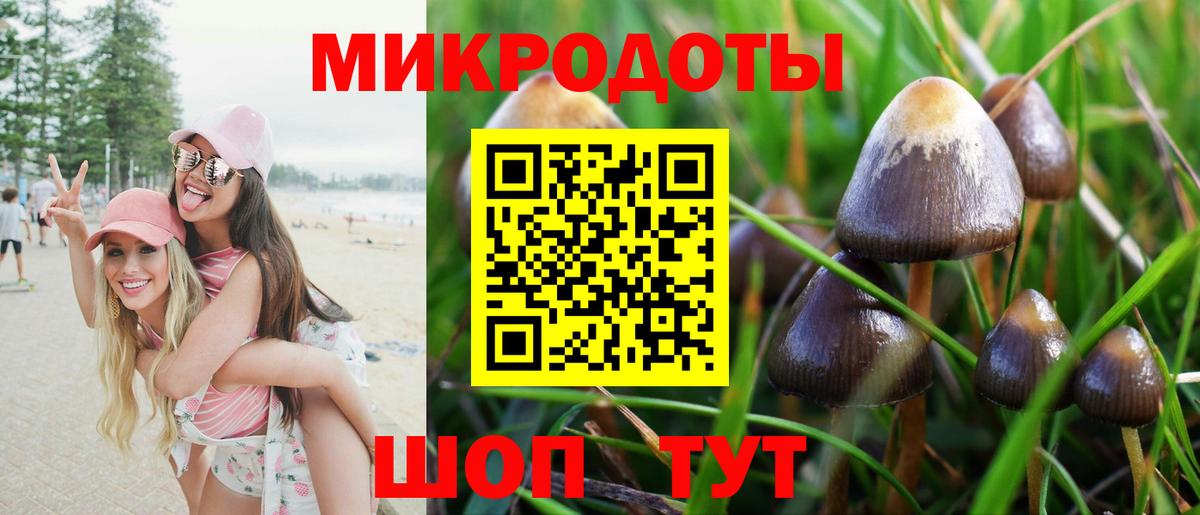 дарнет шоп  Вход с VPN  Галлюциногенные грибы Magic Shrooms  Канаш  Псилоцибиновые грибы ЛСД 